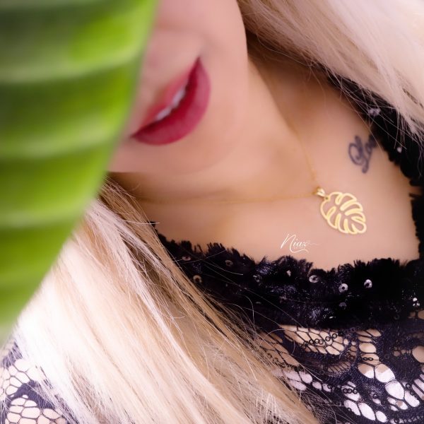 آویز برگ انجیزی